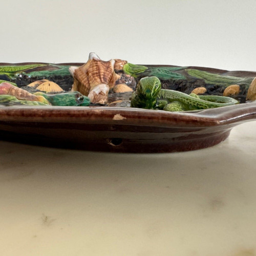 Barbotine dish decorated with shells and Palissy lizard