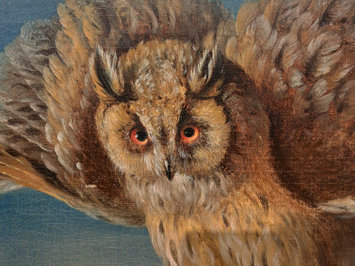 Seguace di Jean Jacques Bachelier (1724-1806), La civetta e la sua preda, olio