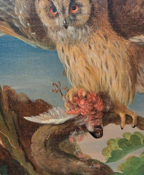 Seguace di Jean Jacques Bachelier (1724-1806), La civetta e la sua preda, olio