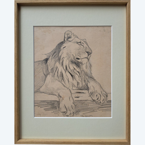 Eugène-Antoine Borga (1885-1964), De Lion study