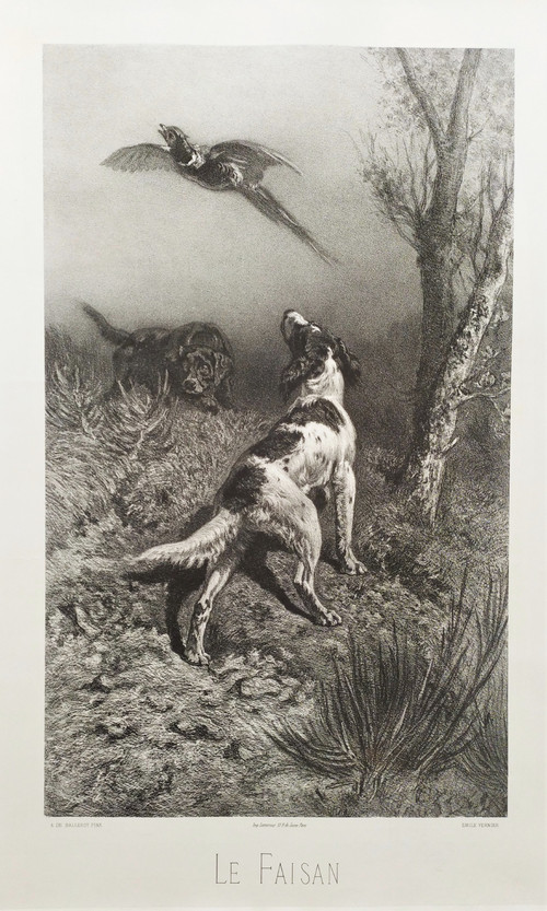 Jagdhunde Und Fasane Lithographie 19.