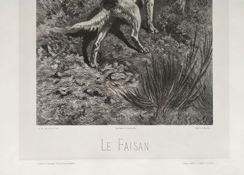 Jagdhunde Und Fasane Lithographie 19.