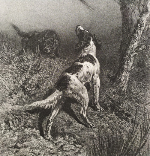 Jagdhunde Und Fasane Lithographie 19.