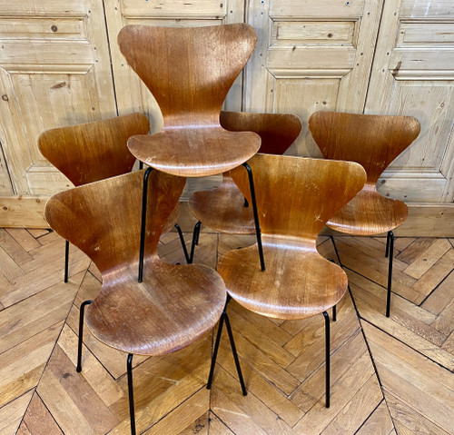Chaises Jacobsen serie 7
