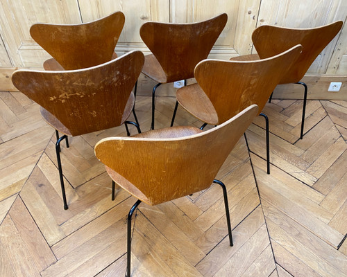 Chaises Jacobsen serie 7