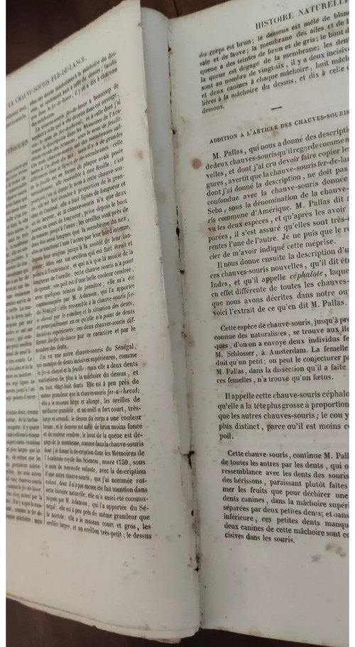 6 Libri Opere complete di BUFFON