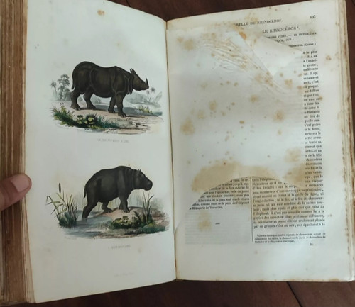 6 Libri Opere complete di BUFFON
