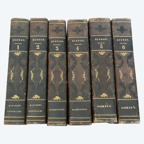 6 Libri Opere complete di BUFFON