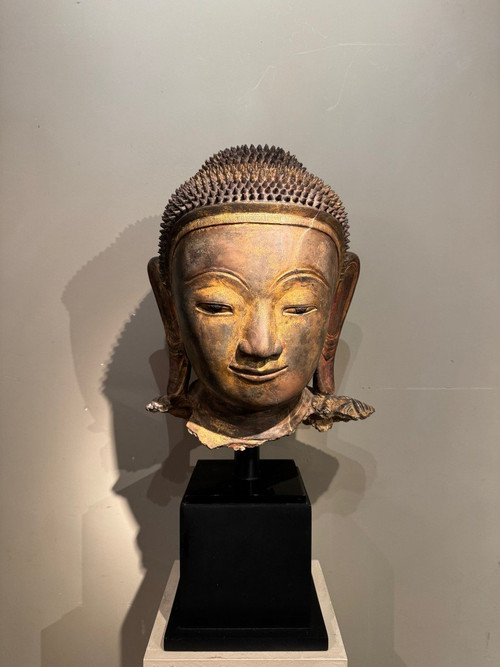 Grande testa di Buddha in terracotta dorata, Birmania, stati Shan, fine XVIII secolo.