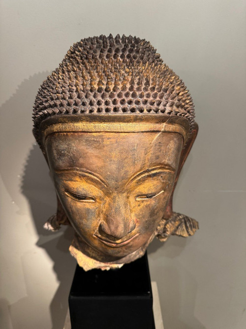 Grande testa di Buddha in terracotta dorata, Birmania, stati Shan, fine XVIII secolo.