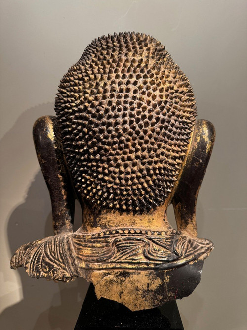 Grande testa di Buddha in terracotta dorata, Birmania, stati Shan, fine XVIII secolo.
