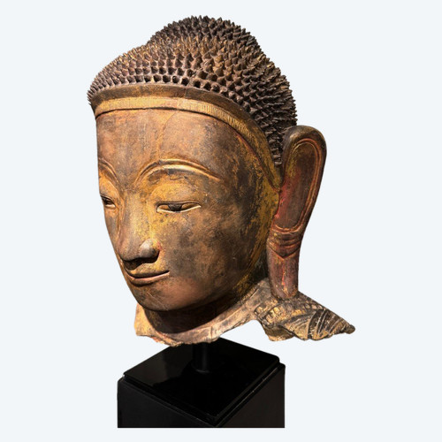 Grande testa di Buddha in terracotta dorata, Birmania, stati Shan, fine XVIII secolo.