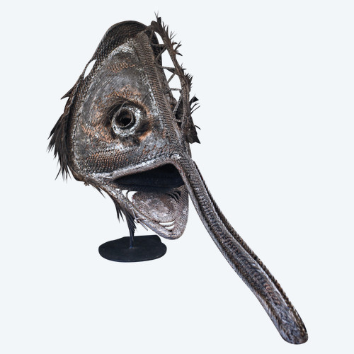 Didagur mask, primitive arts, tribal art, Oceanic art, Papua New Guinea
