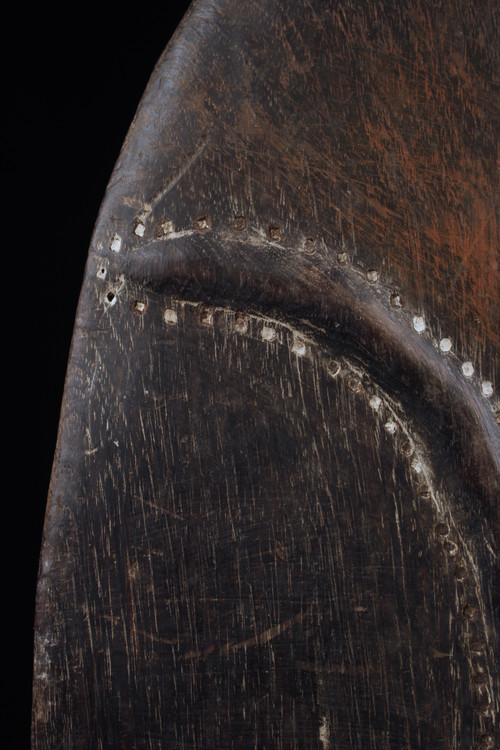 Shield, Oceanic art, sculpture, tribal art, first arts, Oceania, Papua New Guinea