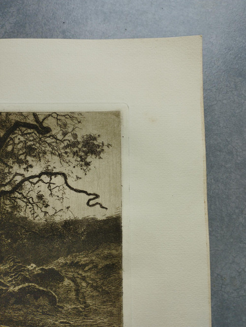 Etching by Eugène Viala - etcher from Aveyron