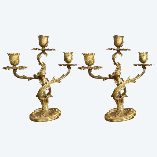 Coppia di candelieri rocaille Candelabro a torcia in bronzo dorato epoca Luigi XV