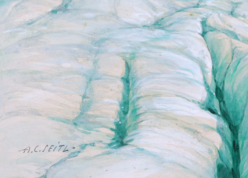 Antoine Charles SEITL, The Sea of Ice