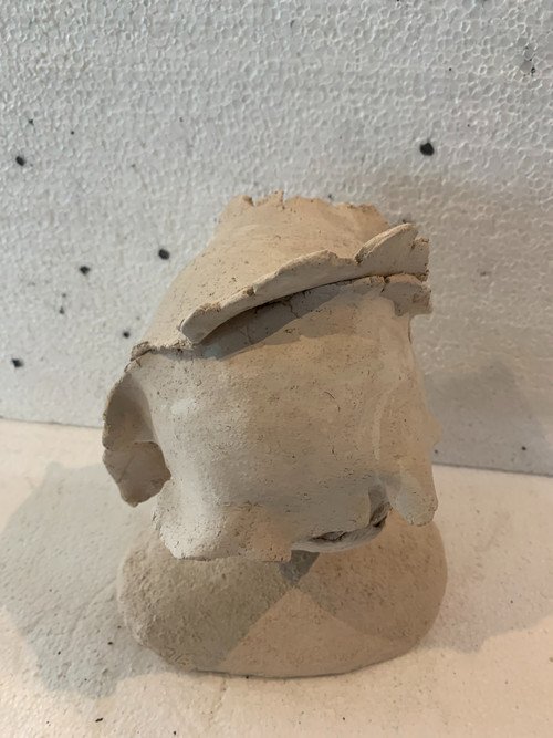 Busto femminile in terracotta bianca XX secolo