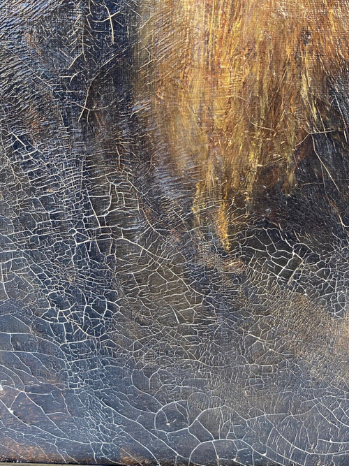 Olio su tela uomo con barba 18° secolo cornice dorata