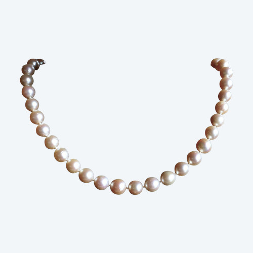Choker Zuchtperlen Halskette Durchmesser 8 - 8,5 mm.