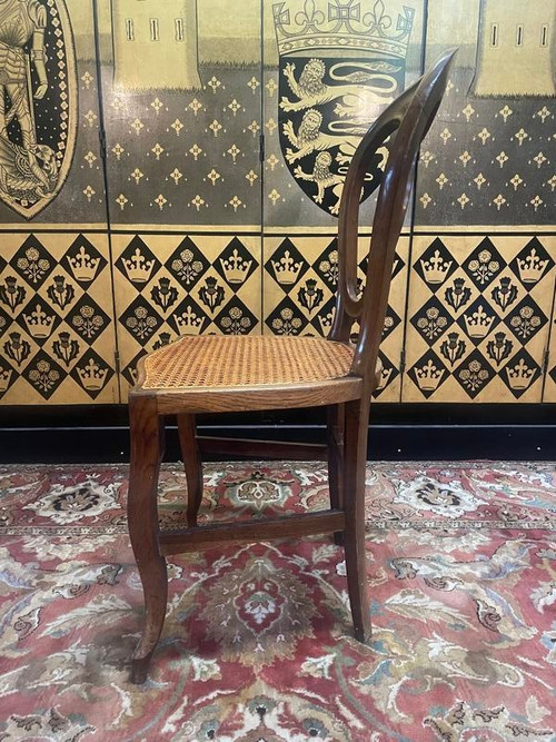 Set of 8 Louis Philippe cane chairs - caned in oak