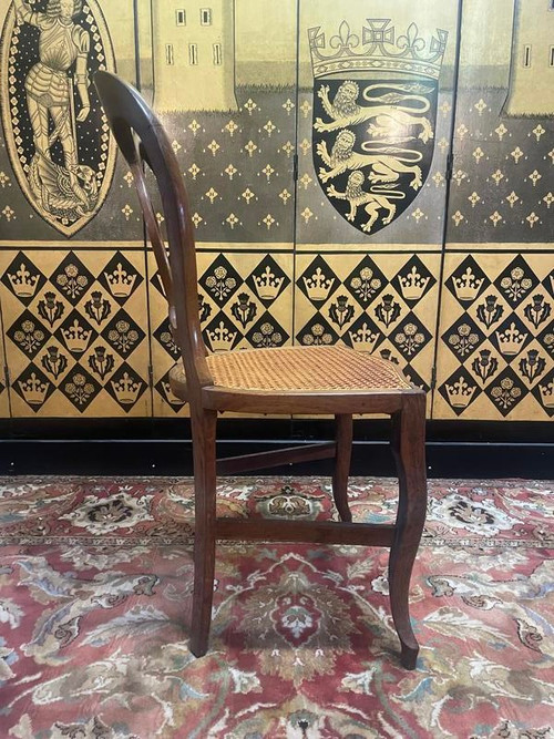 Set of 8 Louis Philippe cane chairs - caned in oak
