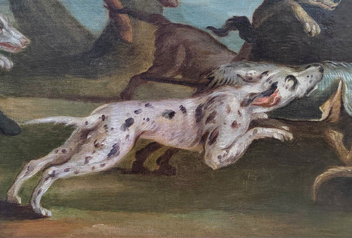 Chasse au sanglier 