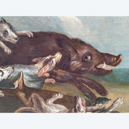 Chasse au sanglier 