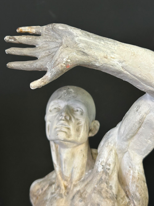 Jacques - Eugène Caudron ( 1818-1865) D'après - Sculpture écorché En Plâtre Cabinet Curiosité