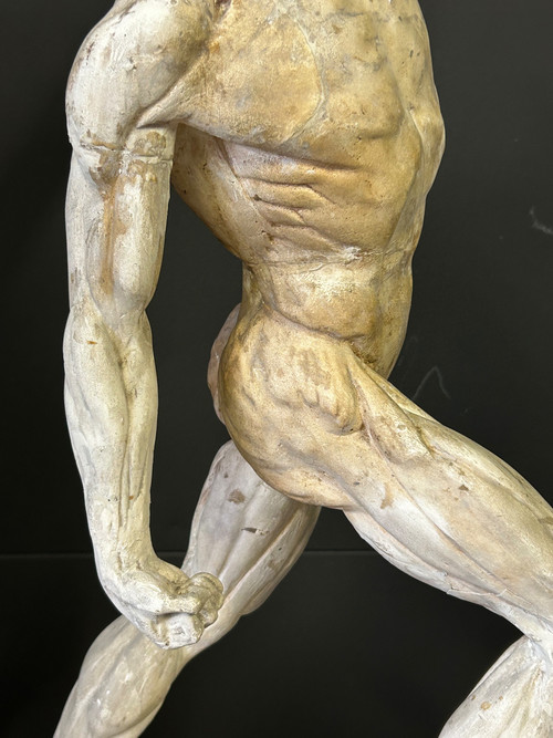 Jacques - Eugène Caudron ( 1818-1865) D'après - Sculpture écorché En Plâtre Cabinet Curiosité