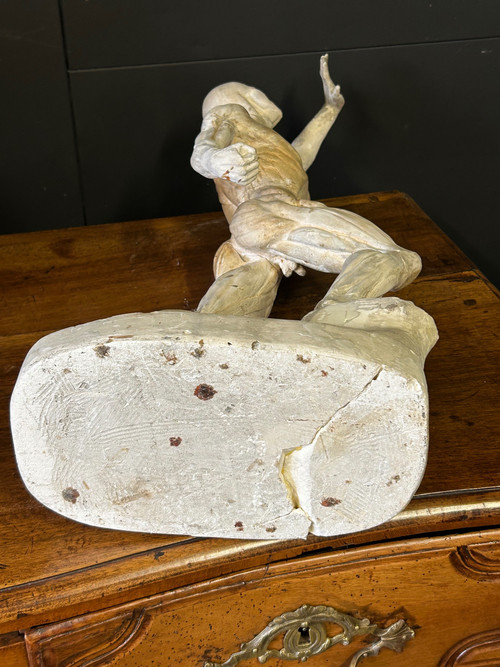 Jacques - Eugène Caudron ( 1818-1865) D'après - Sculpture écorché En Plâtre Cabinet Curiosité