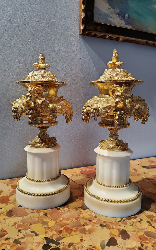 Pair of Cassolette Vases in Gilded Ciselated Bronzes with Pampers and Vines 19th century