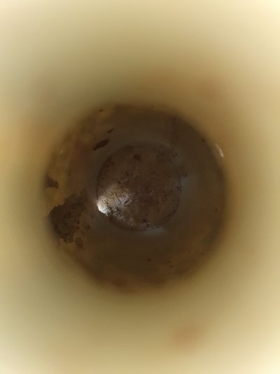 Vaso cinese in porcellana famille verte con fenice e fiori 
