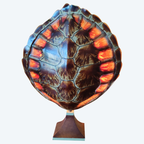 Ancienne lampe design Carapace de Tortue  