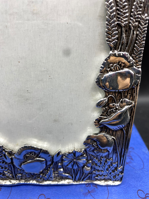 SILVER METAL FRAME