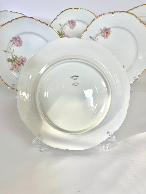 Set of 6 Haviland Limoges "Baltimore Rose" Dinner Plates