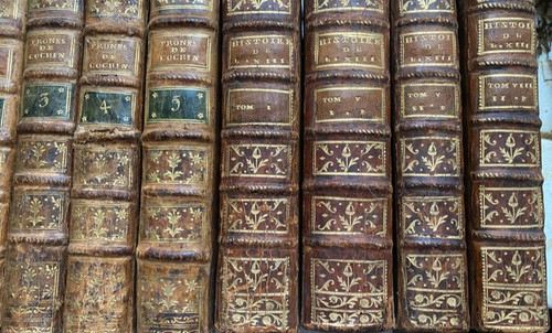 Set of 16 18th century bindings containing History of Louis XIII Sermons of Cochin and men Ill.
