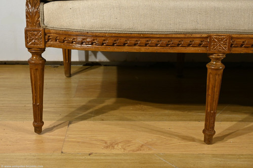 Stained Beech bench seat, Louis XVI style - Early 19th century