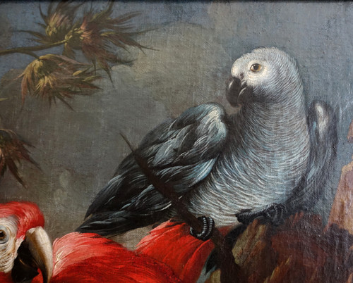Holländische Schule des 17. Jahrhunderts, Papagei und Sittich, HST Mathias Whithoos zugeschrieben - 93,5cm x 109cm
