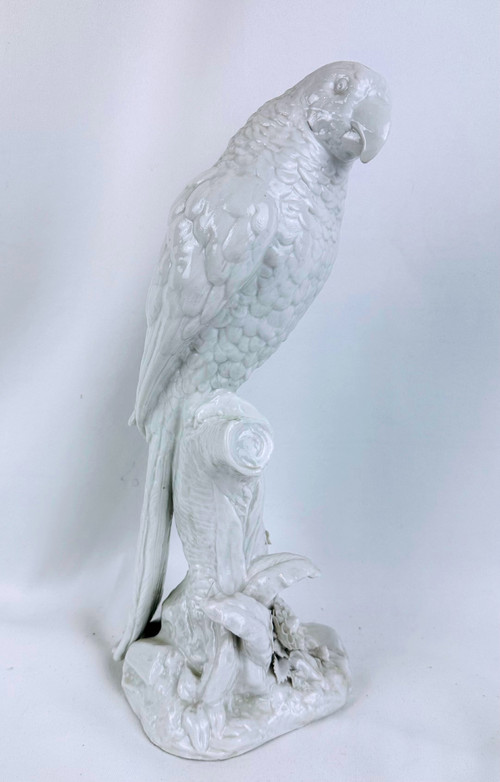 Perroquet en porcelaine allemande, XIXème