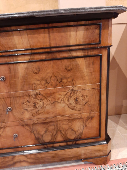 Louis Philippe Burr Walnut Chest of Drawers - 19th century