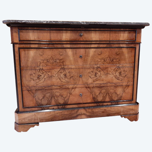 Louis Philippe Burr Walnut Chest of Drawers - 19th century