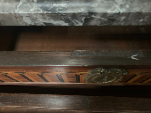 Cassettone di transizione in palissandro e lastronato di amaranto, XIX secolo