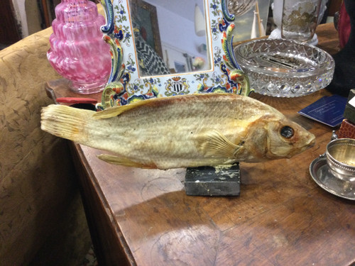 Stuffed fish