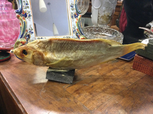 Stuffed fish