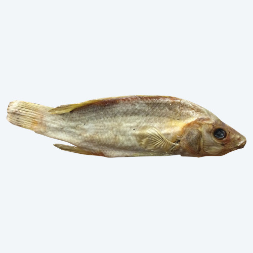 Stuffed fish