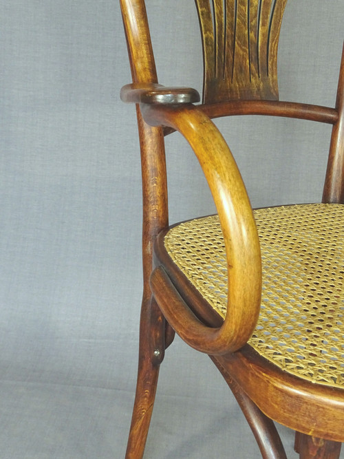 Bentwood armchair, curved wood, bistro KOHN N°196, 1905, new canework; No Thonet