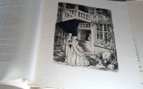 Gustave Flaubert, MADAME BOVARY, Usanze di provincia. Set completo