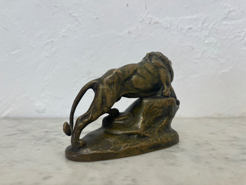 Scultura - Bronzo - Leone - Masson/susse Frs - Francia - XIX sec.