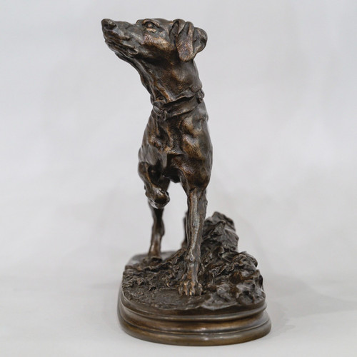 Scultura - Chien Braque Marly , Pierre - Jules Mêne (1810-1879) - Bronzo